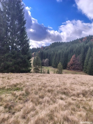 Vând teren - imagine 6