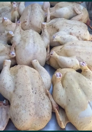 Vand pui de tara si rata carcasa