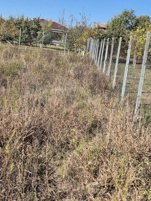 Teren intravilan Mosnita Veche (vatra veche) - imagine 3