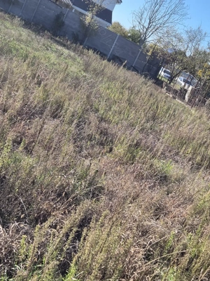 Teren intravilan Mosnita Veche (vatra veche) - imagine 2