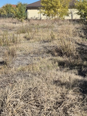 Teren intravilan Mosnita Veche (vatra veche) - imagine 4