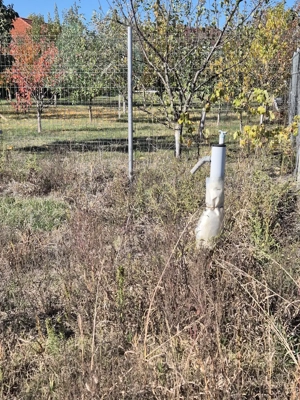 Teren intravilan Mosnita Veche (vatra veche) - imagine 6