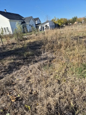 Teren intravilan Mosnita Veche (vatra veche) - imagine 5