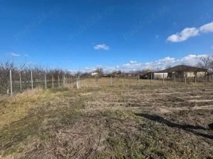 Teren intravilan Mosnita Veche (vatra veche) - imagine 8