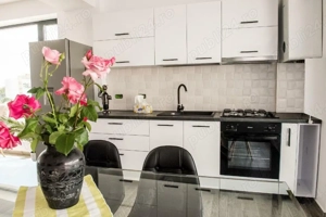 Apartament 2 camere de inchiriat in Mamaia cu vedere panoramica la lac si mare,TERASE  - imagine 9