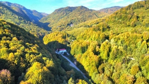 Cabana la Sinaia revelion - imagine 3 Cabana la Sinaia revelion - imagine 3