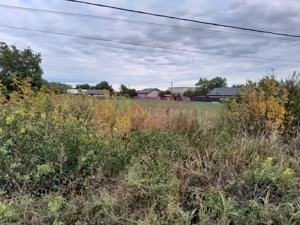 COSERENI( il ) - TEREN  2K MP DE VANZARE (52 M DESCHIDERE LA E85 ) - imagine 7