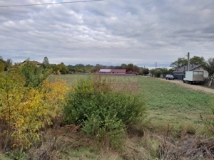 COSERENI( il ) - TEREN  2K MP DE VANZARE (52 M DESCHIDERE LA E85 ) - imagine 3