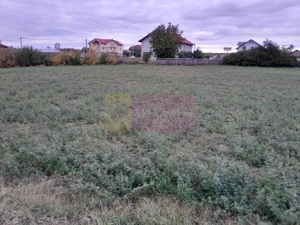 COSERENI( il ) - TEREN  2K MP DE VANZARE (52 M DESCHIDERE LA E85 ) - imagine 13