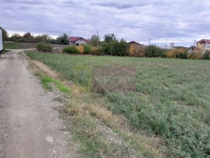 COSERENI( il ) - TEREN  2K MP DE VANZARE (52 M DESCHIDERE LA E85 ) - imagine 12