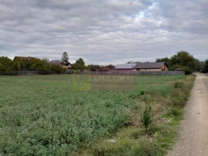 COSERENI( il ) - TEREN  2K MP DE VANZARE (52 M DESCHIDERE LA E85 ) - imagine 9