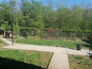 Branesti - Vila de vanzare - imagine 8