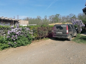 Branesti - Vila de vanzare - imagine 2