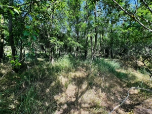 Teren intravilan 2200mp Comuna Dragodana, Gaesti - imagine 10