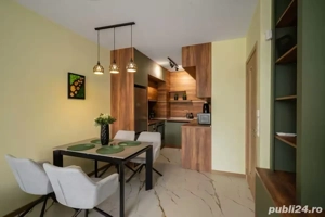 garsoniera lujerului