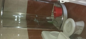 casa de vanzare schei brasov - imagine 8