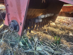 vand culagator porumb sip tornado 70 - imagine 6