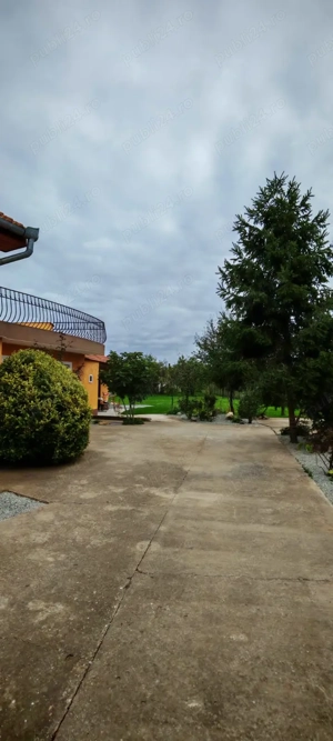 Vilă cu 7 camere, 3 băi, P+M, garaj, terasă, 1130 mp teren, Sântandrei, Bihor. - imagine 16