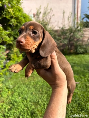 teckal  fetite si baieti  - imagine 2 teckal  fetite si baieti  - imagine 2