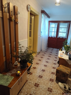 Casa de vacanta de vanzare in Cosdeni - imagine 3