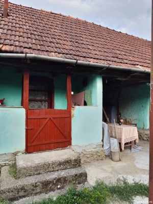 Casa de vacanta de vanzare in Cosdeni - imagine 5