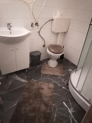 Cazare în Băile Herculane la Casa  De Vacanta  bai proprii - imagine 5