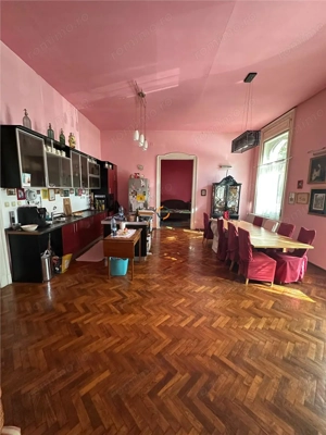 Conac Unicat Timis - imagine 10