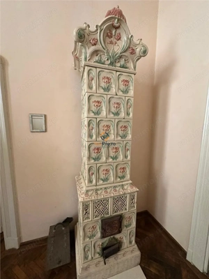 Conac Unicat Timis - imagine 4