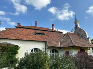 Conac Unicat Timis - imagine 18