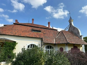 Conac Unicat Timis - imagine 19