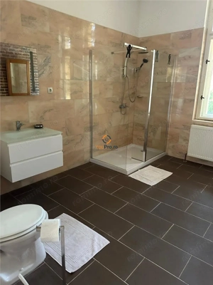 Conac Unicat Timis - imagine 15