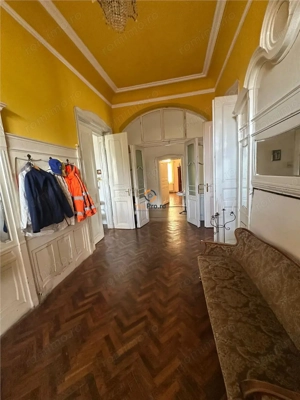 Conac Unicat Timis - imagine 9