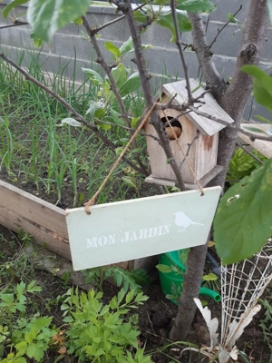 Proprietar vand casa in Chisoda, an constr. 2024, Str. Marului - imagine 8