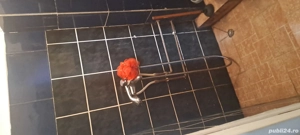 Garsoniere de inchirit 