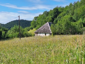 Casa rustica cu faneata și padure