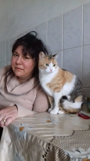 Caut prieten 40-57 ani, aspect fizic placut