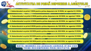 propunere afacere - imagine 3