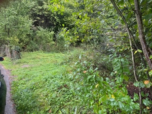 Proprietar vând teren intravilan Bicaz - imagine 4