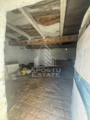 Casa cu teren de 1.600 mp in Checea langa primarie. - imagine 16 Casa cu teren de 1.600 mp in Checea langa primarie. - imagine 16