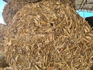 Vând baloți coceni porumb prod.2025 și paie de grâu 