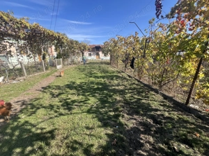 Teren,intravilan,Bradu,toate utilitatile,3400 mp - imagine 5