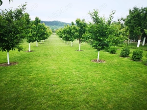 Vand teren intravilan in Campia Turzii  - imagine 3
