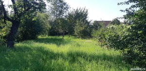 teren Târlungeni intre case 988mp  - imagine 4