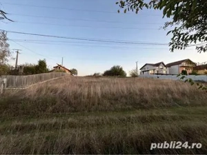 Teren Ostrovul Corbului