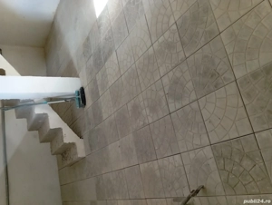 pavele și garduri din beton Tătăruși 