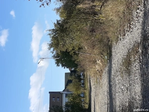 teren extravilan in paulesti prahova  - imagine 2