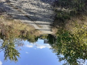 teren extravilan in paulesti prahova  - imagine 5