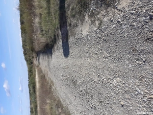 teren extravilan in paulesti prahova  - imagine 6