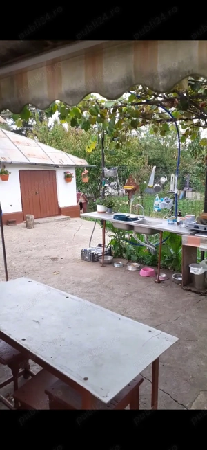 Casa Chetresti Balteni Vaslui  - imagine 8