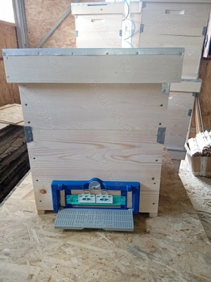 Lazi stupi de vanzare